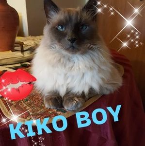 Meet your Posher, Mark